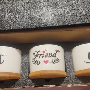 Best Friend Ceramic Succulent Planters
